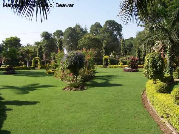Company Garden1