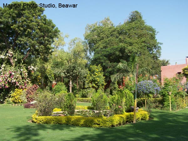 Company Garden2