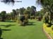 Company Garden1