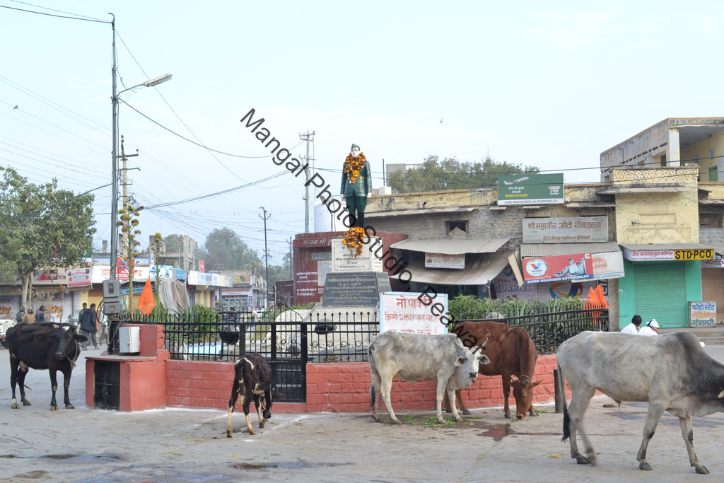 Subhash Chandra Bose Carcil Beawar 